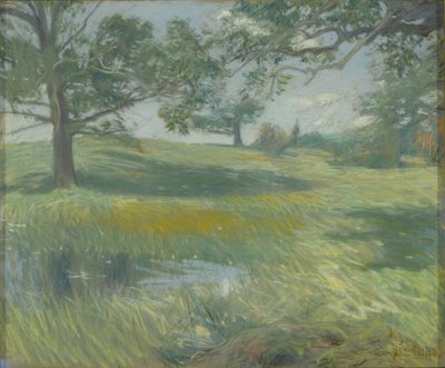 Wiesen, ca. 1900-10 von Childe Frederick Hassam