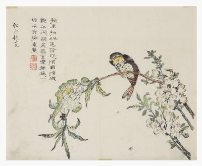 Senfkorngarten von Chinese School