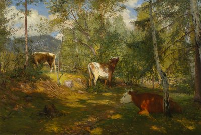 Sonnenflecken im Wald von Christian Eriksen Skredsvig