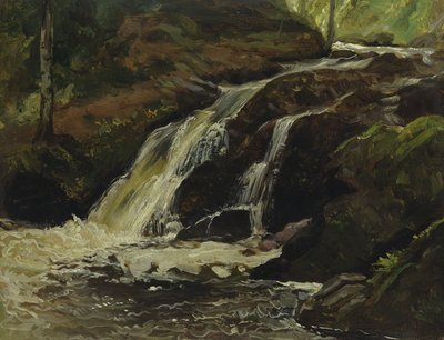 Wasserfall von Christian Friedrich Gille