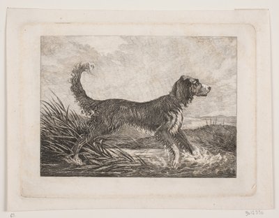 Ein Hund von Christian Holm