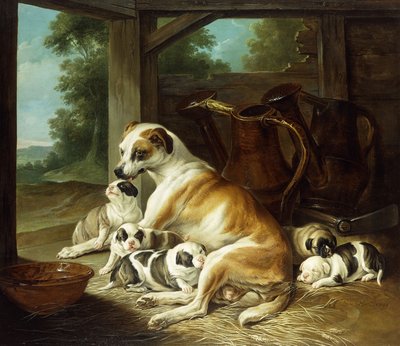 Eine Mutter mit ihren Welpen, 1734 von Christophe Huet
