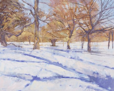Winter, Richmond Park von Christopher Glanville