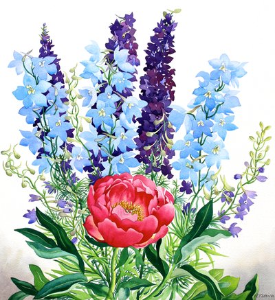 Blaue Delphinien von Christopher Ryland