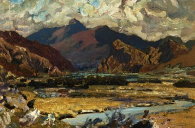 Cader Idris von Christopher Williams