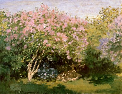 Flieder in der Sonne, 1872-1873 von Claude Monet