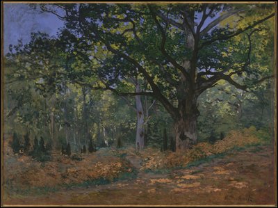 Die Bodmer-Eiche, Wald von Fontainebleau, 1865 von Claude Monet