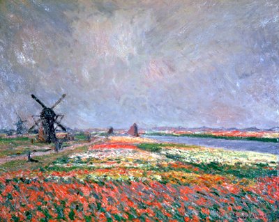 Tulpenfelder bei Leiden, 1886 von Claude Monet