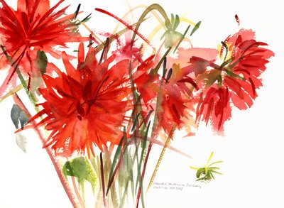 Dahlien, 2002 von Claudia Hutchins Puechavy