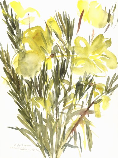 Nachtkerzen, 2004 von Claudia Hutchins Puechavy
