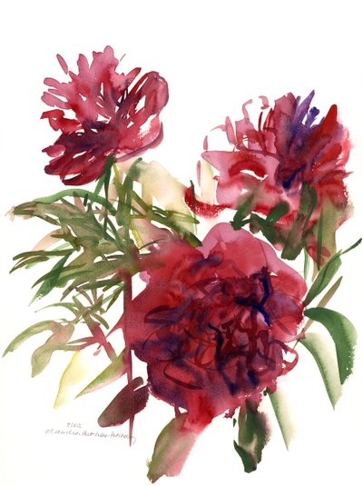 Pfingstrosen, 2002 von Claudia Hutchins Puechavy