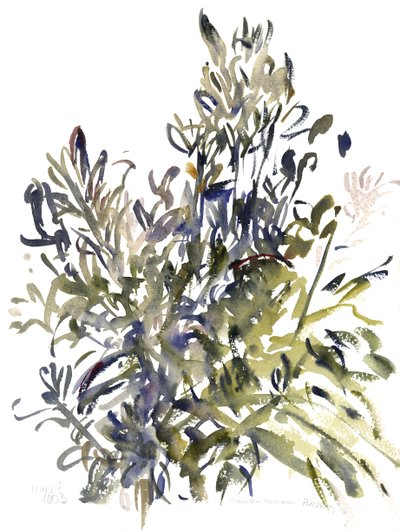 Senecio und andere Pflanzen, 2003 von Claudia Hutchins Puechavy