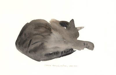 Schlafende Katze, 1985 von Claudia Hutchins Puechavy