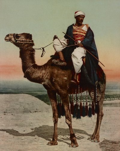 Ein Beduine, Kairo, Ägypten von Company Photoglob