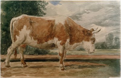 Kuh in Seitenansicht von Constant Troyon