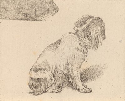 Sitzender Hund, 1777 von Cornelis Brouwer