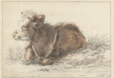 Liegendes Kalb, nach links von Cornelis Saftleven