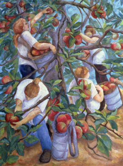 Apfelpflücker, 1996 von Cristiana Angelini