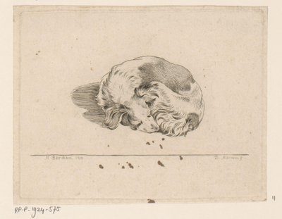 Schlafender Hund von D. Merrem