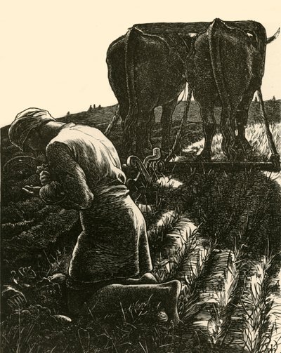 Der verborgene Schatz, 1864 von Dalziel Brothers