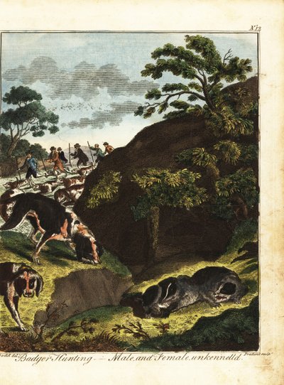 Bewaffnete Männer jagen Dachse, England von Daniel (after) Dodd