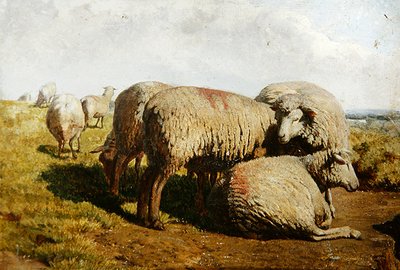 Eine Gruppe von Schafen von Daniel Alexander Williamson