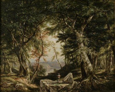 Blicke aus dem Wald von Daniel Huntington