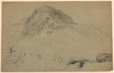 Blick nach Süden, Mount Mansfield, Vermont von Daniel Huntington