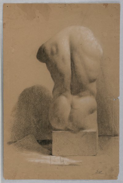 Männlicher Torso aus einem Gipsabguss von Daniel Huntington