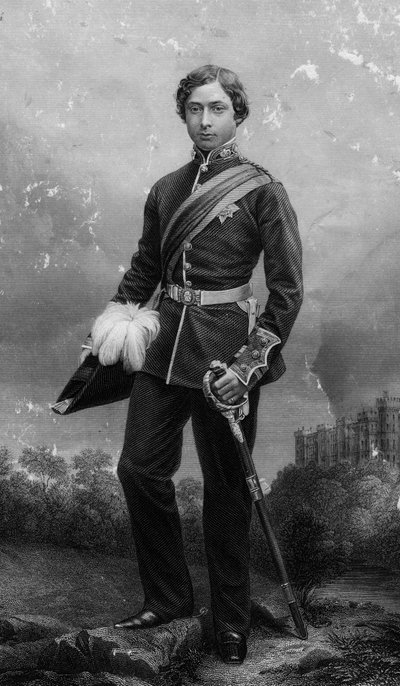 Der Prinz von Wales von Daniel John Pound