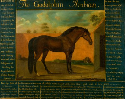 Der Godolphin-Araber von Daniel Quigley