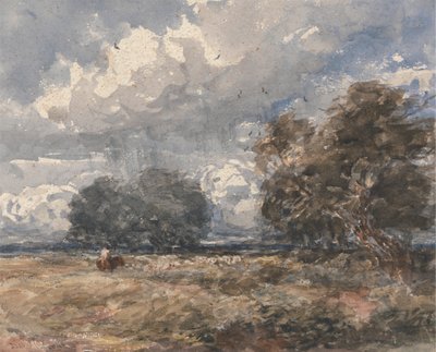 Hirten der Herde, windiger Tag von David Cox