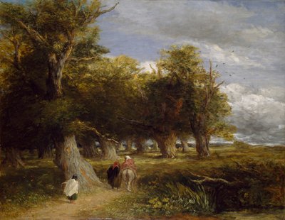 Ränder des Waldes, 1855 von David Cox