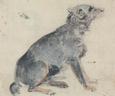 Studie eines Hundes von David Cox