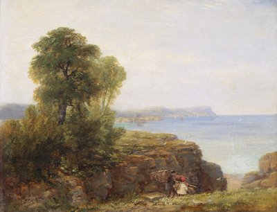 Cardigan Bay von David Cox the elder