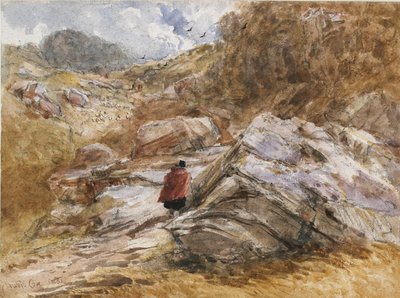 Gebirgspass bei Bettws-y-Coed von David Cox the elder