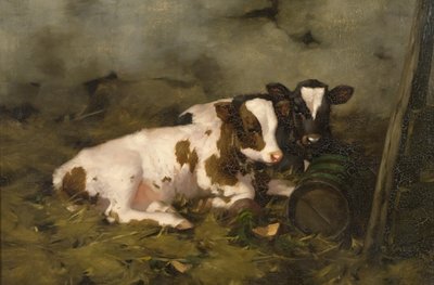 Kälber von David Gauld