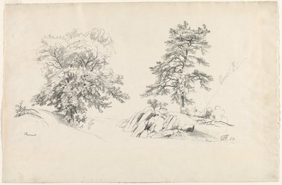 Kastanie und Kiefer, 1869 von David Johnson