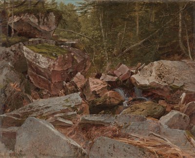 Studie, North Conway, New Hampshire, 1851 von David Johnson