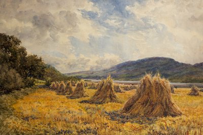Lanrick Mead von David Law