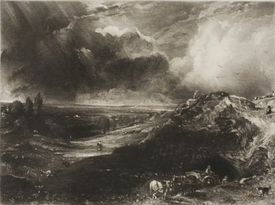 Eine Heide von David Lucas