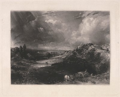 Eine Heide von David Lucas