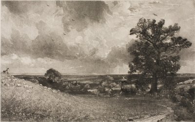 Mittag von David Lucas