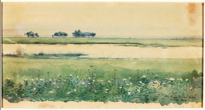 (Landschaft mit Sümpfen) von De Lancey Gill