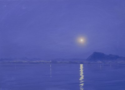 Mondlicht über Udaipur von Derek Hare