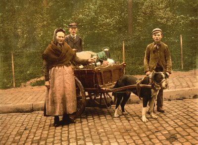 Milchverkäufer, Brüssel, Belgien, um 1900 von Detroit Publishing Co.