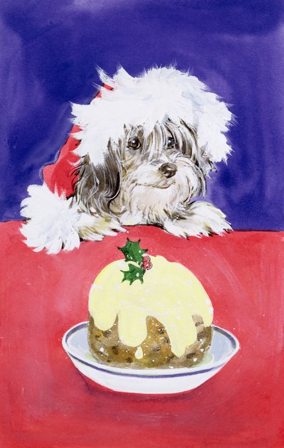 Der Weihnachtskuchen von Diane Matthes