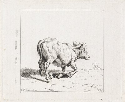 Sich aufrichtendes Kalb von Diederik Jan Singendonck