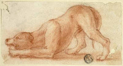 Springender pelziger Hund von Dirk Valkenburg