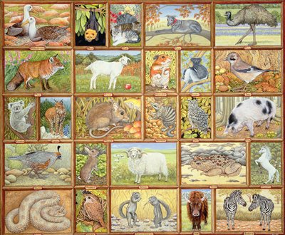 Alphabetische Tiere von Ditz
